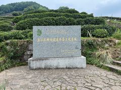 -龙井村