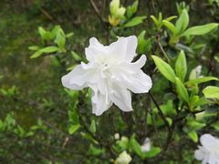 -瑶湖郊野森林公园