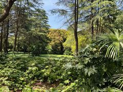 -嘉北郊野公园