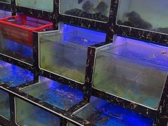 -众味海鲜大排档·活海鲜·潮汕味(南澳店)