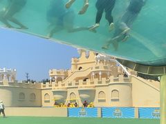 -秦皇岛乐岛海洋王国