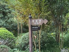 -九曜山