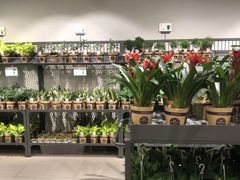 -鹿岛会员店 (龙湖三千集天街店)