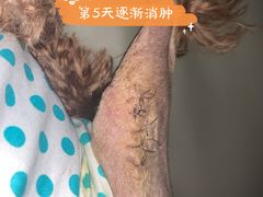 -宠爱国际动物医院· 猫科· 外科·中兽医(长白店)