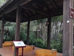 -青城道汤池