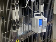 -达爱动物医院·犬猫分区·CT·复杂眼科(远洋山水分院)