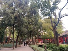 -成都武侯祠博物馆