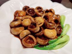 -睿智餐饮(枫尚店)