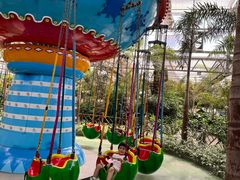 -南宫五洲植物乐园