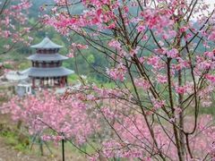 -广东天露山旅游度假区