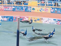 -上海野生动物园