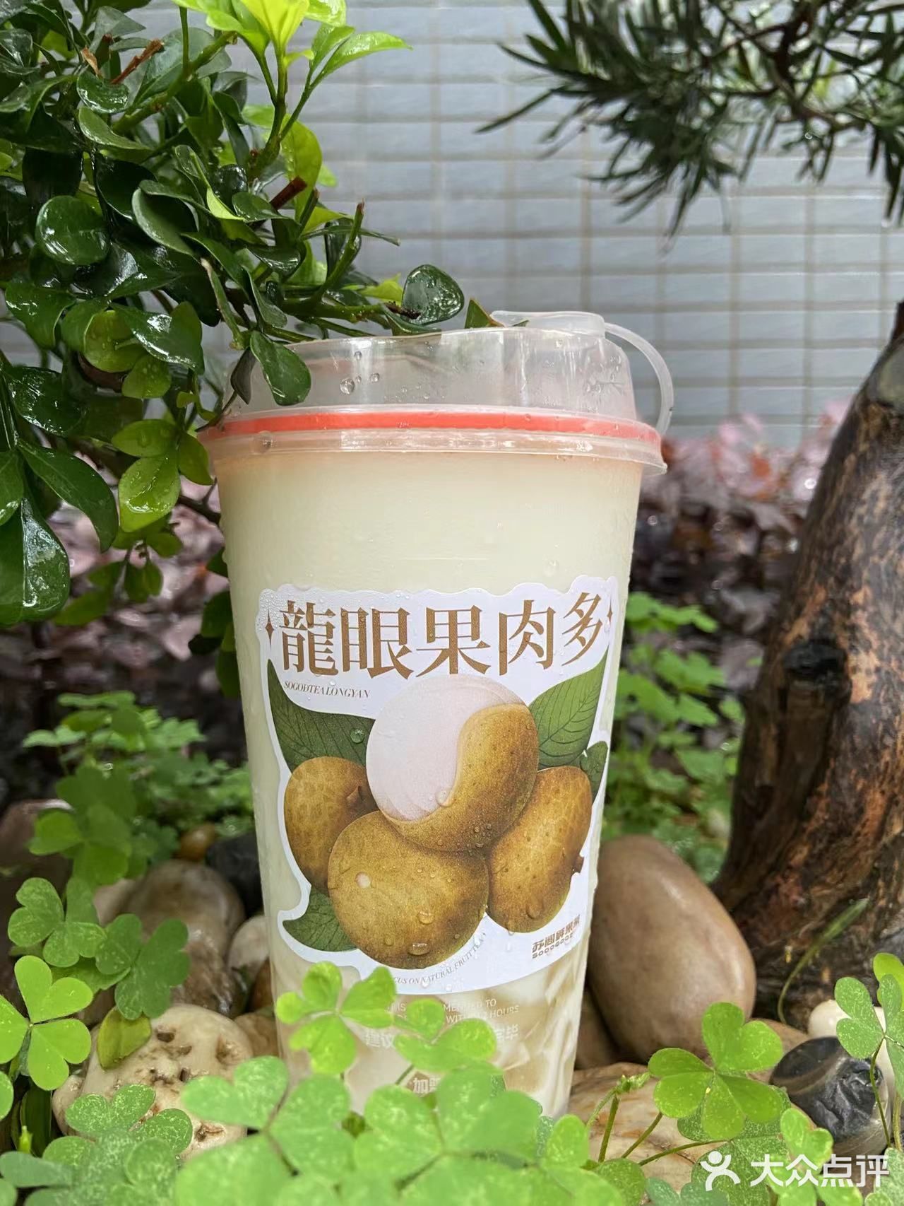 不喝就会后悔的杨桃特饮！