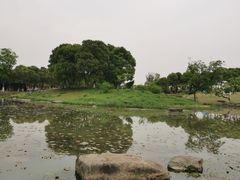 -滆湖低碳生态公园