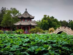 -莲池书院博物馆