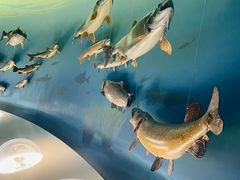 -陕西自然博物馆