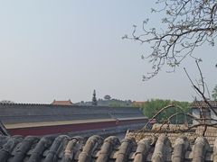 -TRB Forbidden City(故宫店)