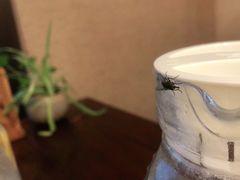 -曾福兴