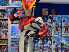 -TOYSRUS玩具反斗城(上海万象城店)