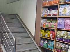 -天使宠物医院·犬猫分诊(彩虹店)