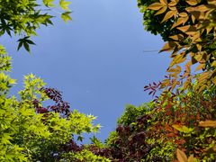 -桃花岛景观公园