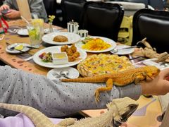 -FAIRYLAND龙族星球主题餐厅(凯丹广场店)