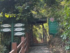 -南海湾森林生态园