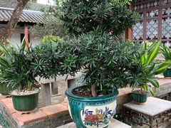 -东莞市可园博物馆