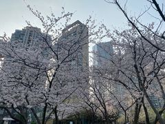 -西北湖绿化广场