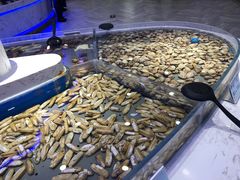 -澜悦港海鲜体验主题餐厅