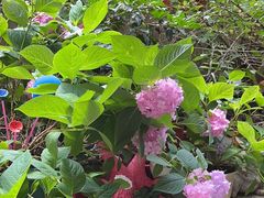 -鱼乐岛餐厅·户外花园主题餐厅