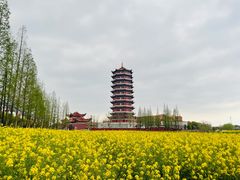 -皇罗禅寺