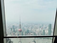 -上海柏悦酒店·世纪100牛排馆