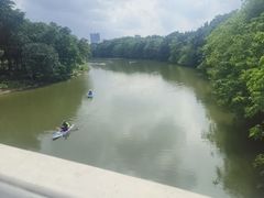 -海珠湖公园