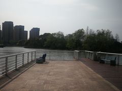 -新江湾城公园