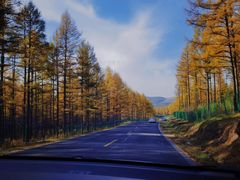 -塞罕坝国家级自然保护区