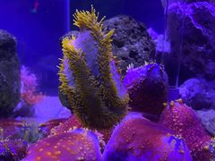 -太平洋海底世界