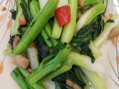 生炒迟菜心-姚林轩