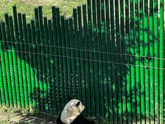 -沈阳森林动物园