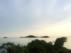 -上海市保健医疗中心(华东疗养院)