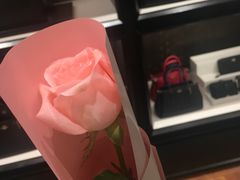 七夕会员礼-COACH蔻驰(赛特奥特莱斯店)