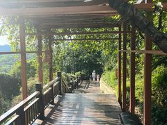 -天鹿湖森林公园