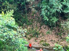 -清泉湾生态旅游度假区