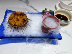 海胆-正黄旗海鲜烧烤大排档(延安路总店)