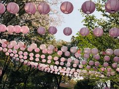-金鸡湖桃花岛