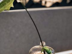 -大众茶馆·悠茶小驿(一中店)