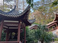 -深圳国际园林花卉博览园