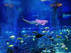 -沈阳海洋探索中心