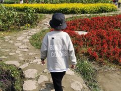 -黄龙溪欢乐田园