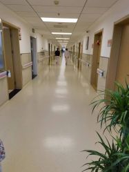 -上海市嘉定区妇幼保健院