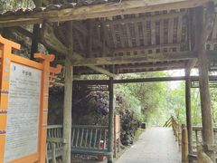-阿依河景区